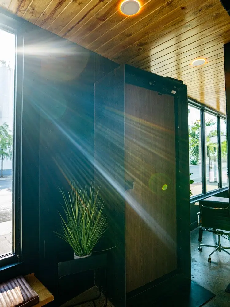 Morning sun through the front windows at SALT FW